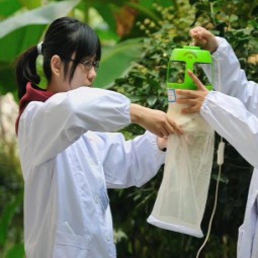 蚊幼虫监测与科普
